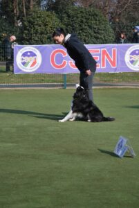 627674485 1498424484986173 7999740192032676623 n